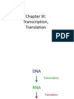 Transcription Translaiton3