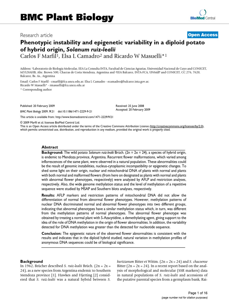 Epigenetic Variability in Hybrid Potatoes | PDF | Dna Methylation | Meiosis