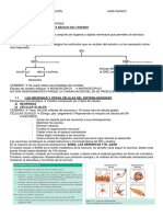 Tema 1 Bases Del Aprendiaje