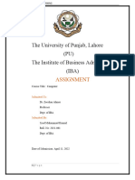The University of Punjab FINAL Assignment Ss