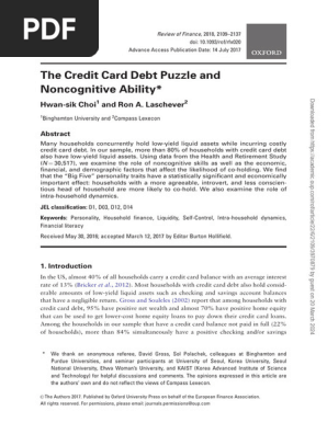Debt Puzzle