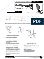  CRF, Glomerulonefritis