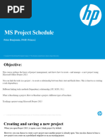 MS Project Schedule