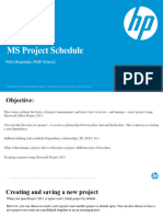 MS Project Schedule
