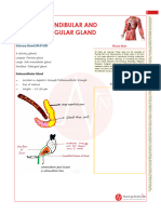 Submandibular & Sublingual Gland