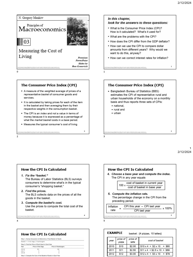 Understanding Consumer Price Index (CPI) | PDF | Cost Of Living ...