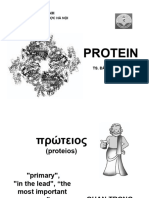 Protein