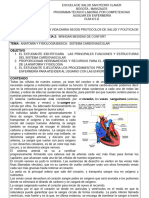 Guia #5 - D Sistema Cardiovascular