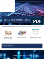 Metabolismo de Los Seres Vivos