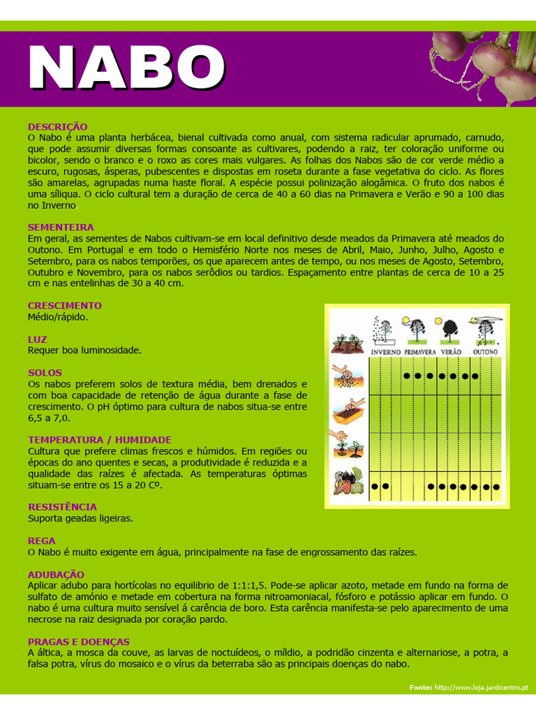 NABO PDF