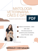 Slides Dermatologia - MÃ Dulo I