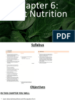 Chapter 6 Plant Nutrition