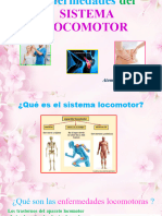 Sistema Locomotor