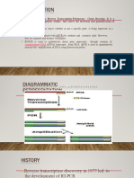 RT PCR