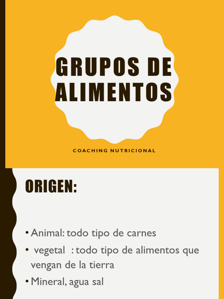 Grupos De Alimentos Pdf