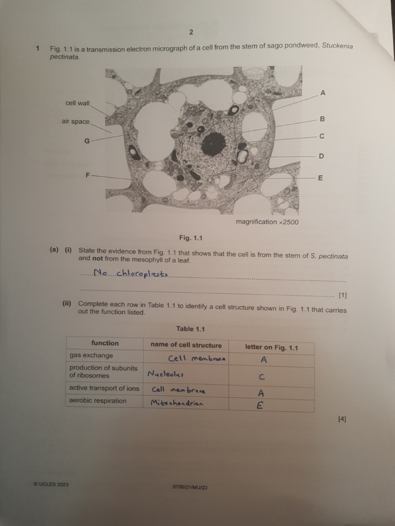 9700 may june 2023 p21 pdf