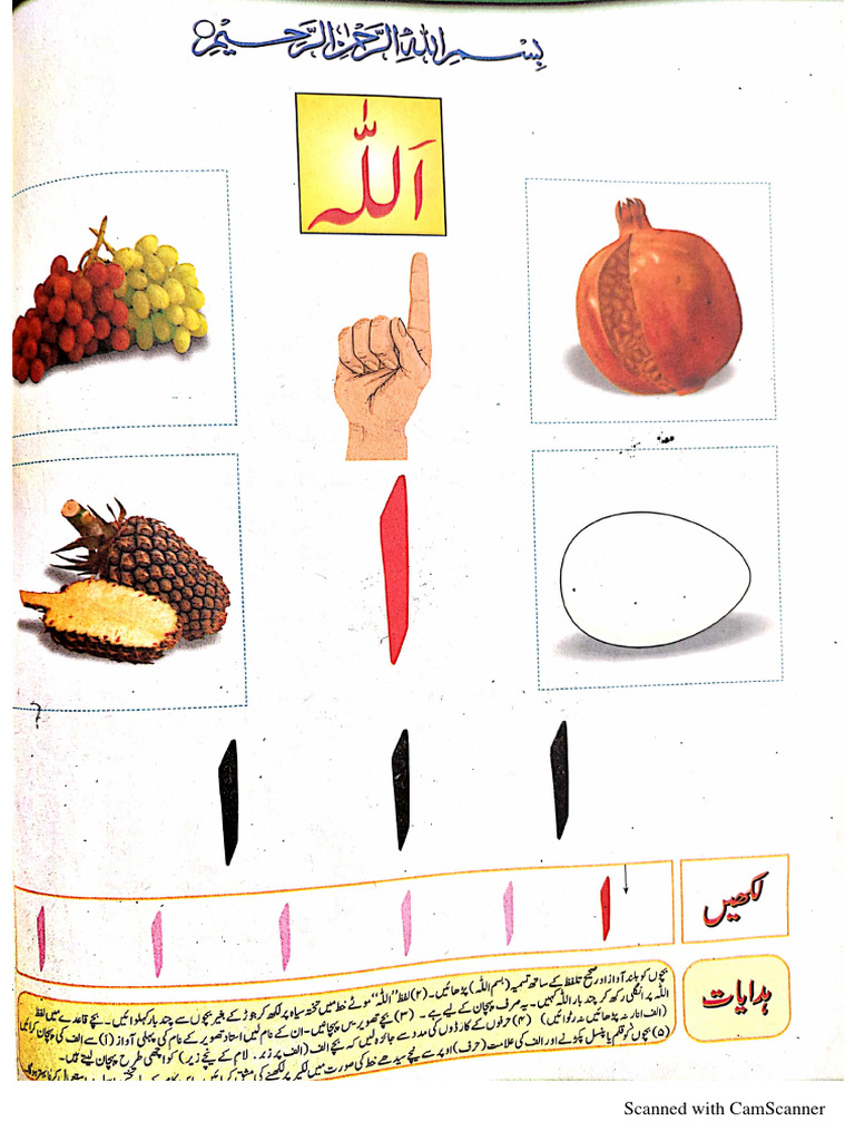 HOW TO LEARN URDU BOOK visual data 6