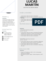 Nueva Plantilla Curriculum Vitae Gris Foto Lado