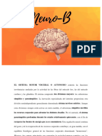 Neuro-B Segundo Parcial