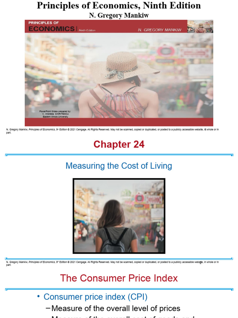 Understanding the Consumer Price Index | PDF | Cost Of Living ...