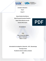 Actividad Colaborativa Fase II Grupo IV Neuroanatomia