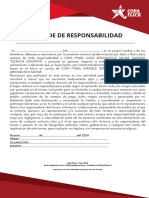 Deslinde de Responsabilidad 2024