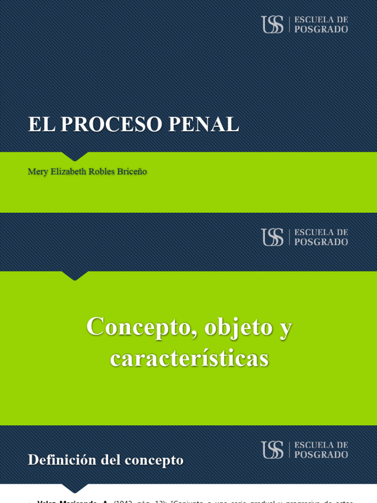 Sesión 1 - Proceso Penal - Conceptos | PDF | Ley procesal | Derecho penal