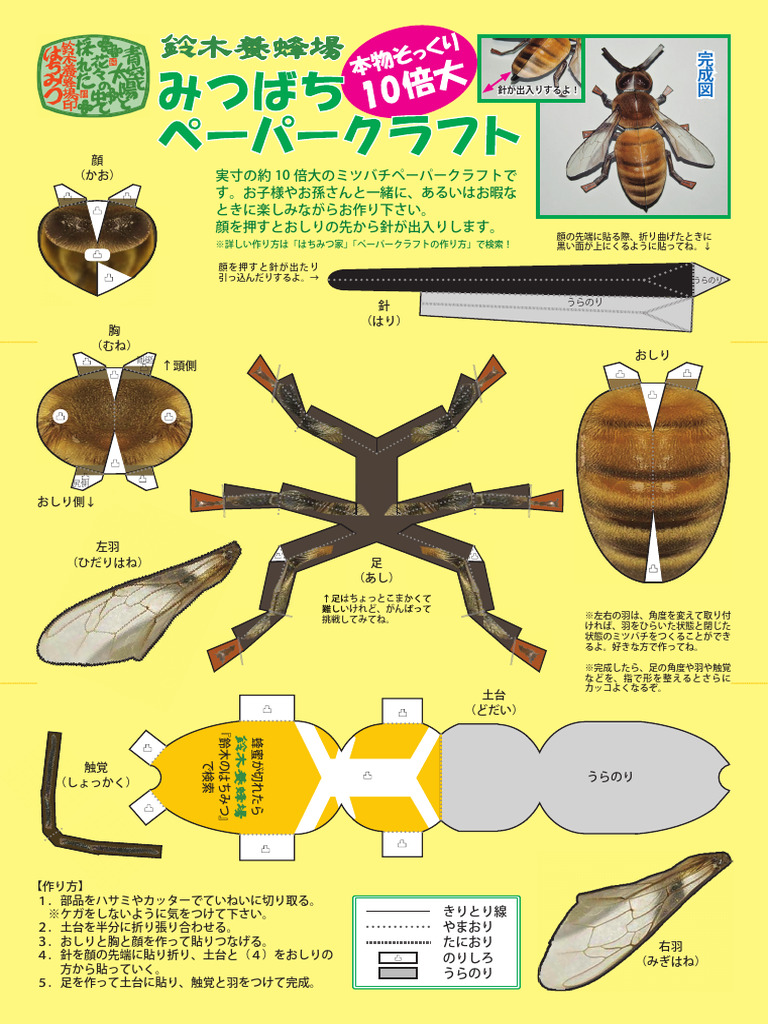 みつばちページ Craft 01 | PDF