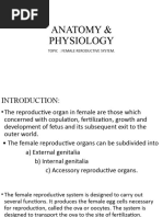 Female Reproductive System