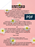 Sitesis de Oxidación - 20231101 - 085524 - 0000 1