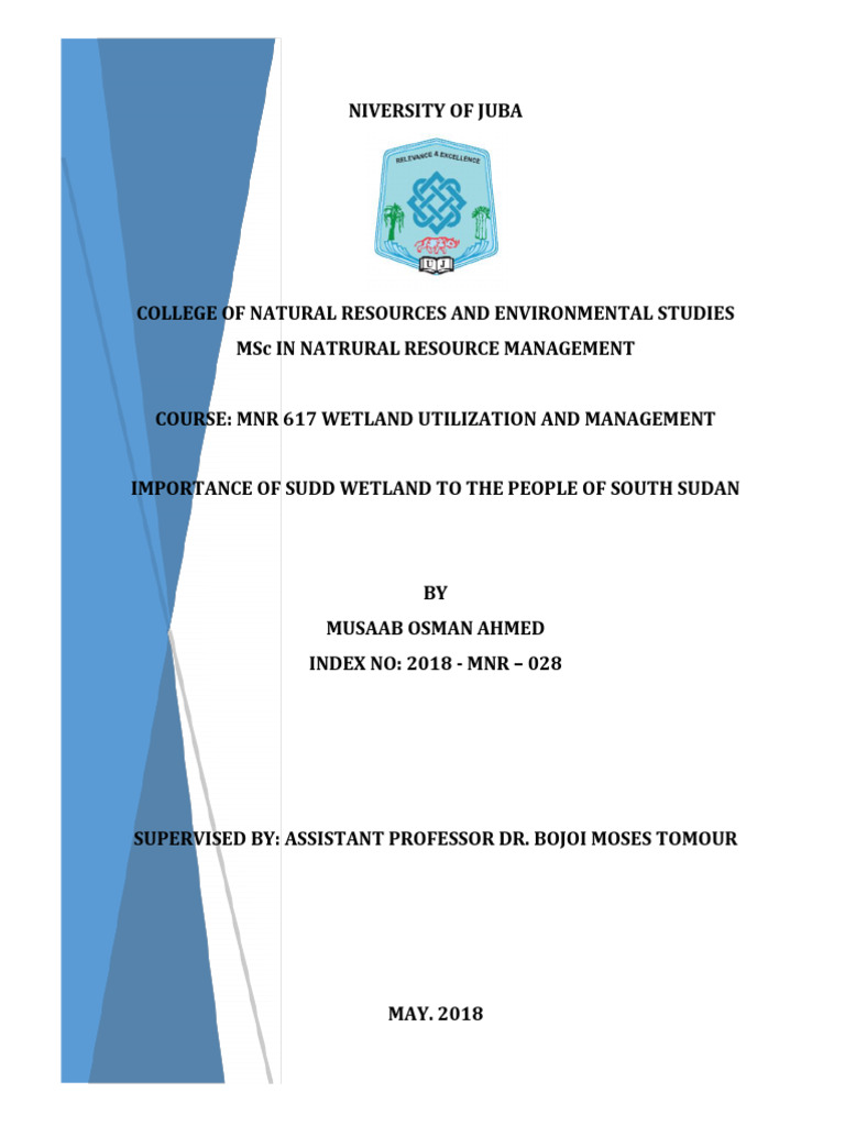 Importance of the Sudd Wetland | PDF | Nile | Market (Economics)