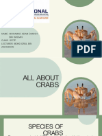 All About Crabs (2) (1) .PPTX Adik Kontol