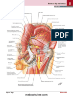Gluteal Region-Gambar Anatomii