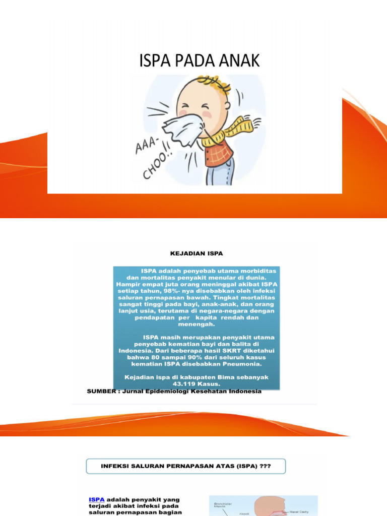 Penyuluhan Ispa Pdf