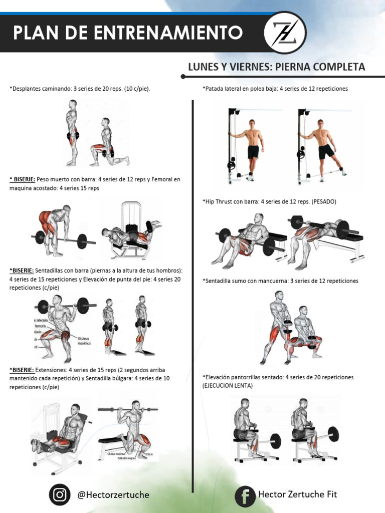 Pierna Barra Completa Para Hacer Ejercicio Las Mejores Máquinas