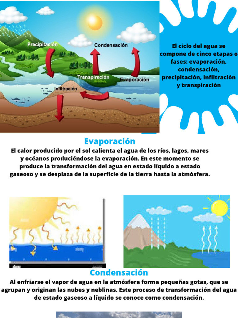 El Ciclo Del Agua Se Compone de Cinco Etapas o Fases Evaporación ...