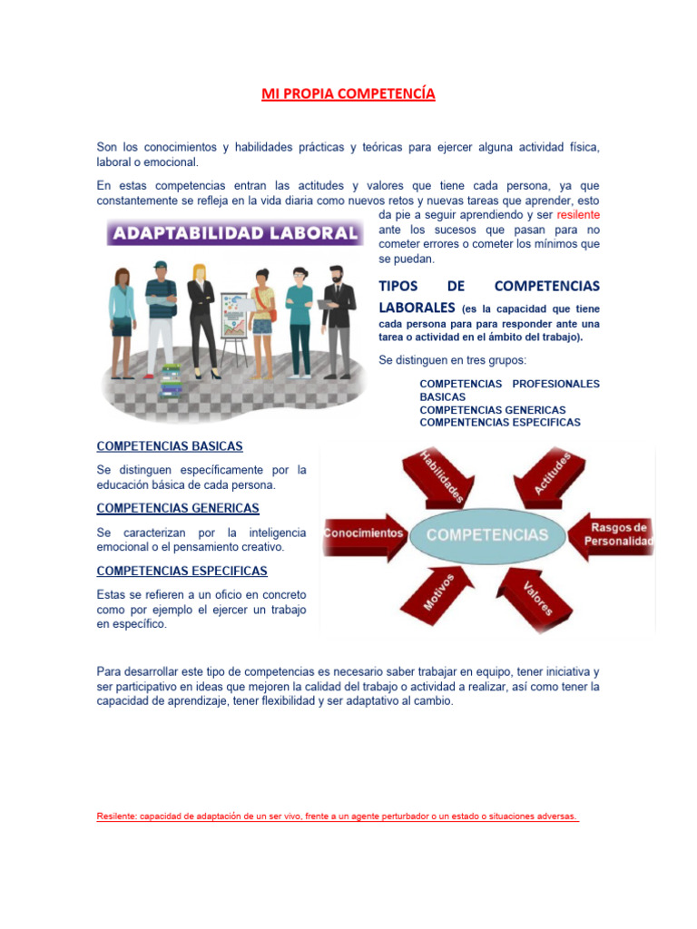 Tipos de Competencias Laborales | PDF