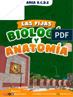 Fijas - Biologia y Anatomia