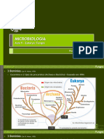 AULA 9 v2022 Updt2 - Eukarya - Fungos