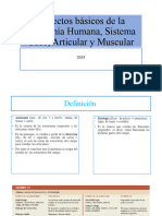 Aspectos Básicos de La Anatomía Humana, Sistema