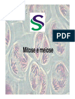 Aula 2 - Mitose e meiose [Modo de Compatibilidade]