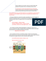PDF Respuestas