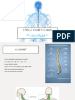 Spinal Compression