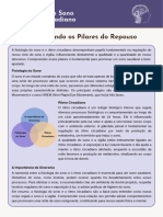 A Fisiologia Do Sono e o Ritmo Circadiano Entendendo Os Pilares Do Repouso