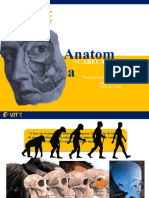 Anatomia Da Cabeça e Pesoço - Introdução - História