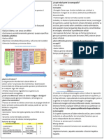 Resumen Onco