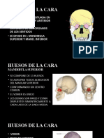 Clase 5 Sistema Musculoesqueletico 2