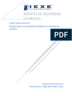 Ensayo Temas Urgentes de Seguridad en Mexico