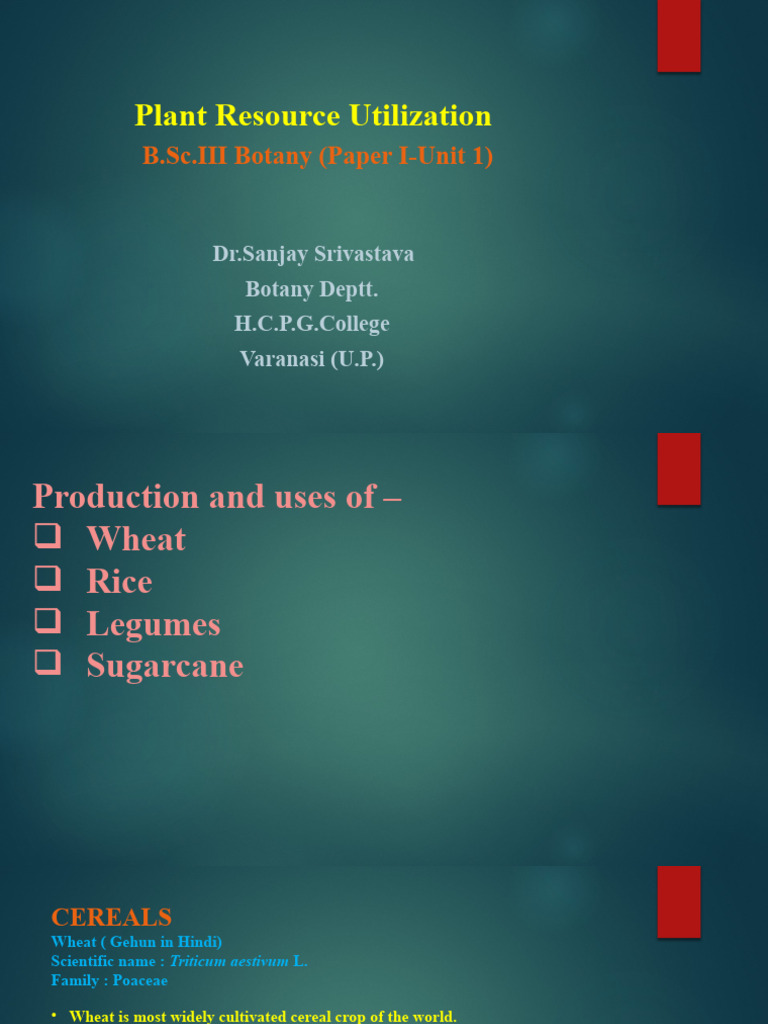 Power point 01 download free pdf chickpea soybean