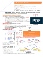 Glucides 